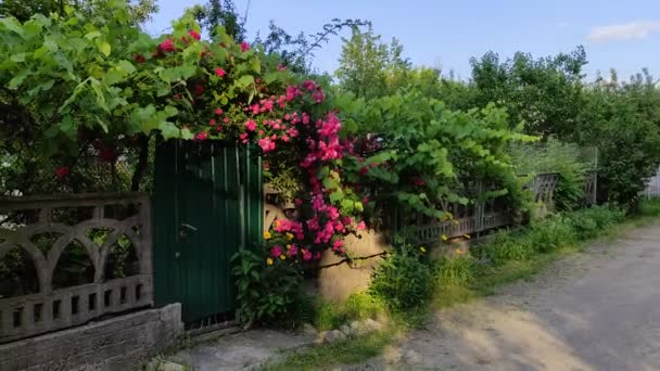 Régi Kerítés Ház Mellett Régi Kapu Ház Benőtt Kerítés Kapu — Stock videók