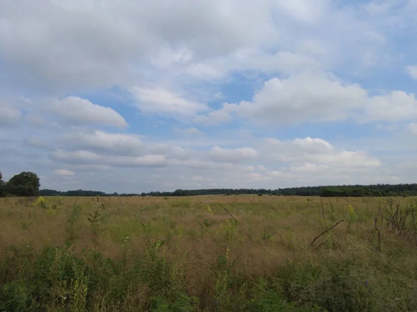 Sommerlandschaft Mit Feld Und Wolken Graue Wolken Über Dem Feld — Stockfoto
