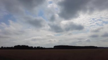 Tarlalı ve bulutlu yaz manzarası. Tarlanın üzerinde gri bulutlar.