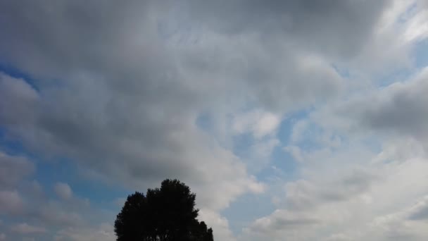 Летний Пейзаж Полем Облаками Серые Облака Над Полем — стоковое видео