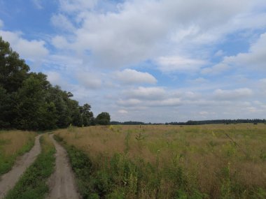 Yol manzarası çok güzel. Yaz Toprak Yolu. Uzağa giden yol..