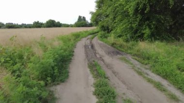 Yol manzarası çok güzel. Yaz Toprak Yolu. Uzağa giden yol..