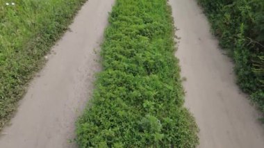 Yol manzarası çok güzel. Yaz Toprak Yolu. Uzağa giden yol..