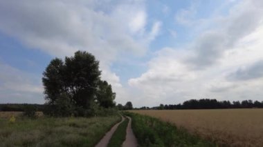 Yol manzarası çok güzel. Yaz Toprak Yolu. Uzağa giden yol..