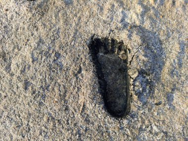 Kumda ayak izleri. Erkek ayağı çamurun içinde. kil ayak izleri