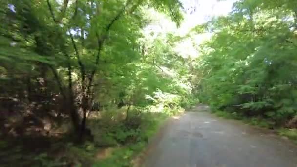 Conducir Coche Mal Camino Con Agujeros Coche Camino Tierra Movimiento — Vídeo de stock