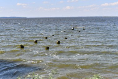 Nehirdeki dalgalar. Rüzgar ve su dalgaları. Nehir kıyısında. Suyla birlikte manzara.