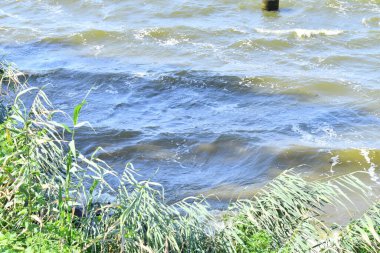 Nehirdeki dalgalar. Rüzgar ve su dalgaları. Nehir kıyısında. Suyla birlikte manzara.