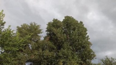 Bulutlu gökyüzü ve rüzgar. Fırtınadan önceki bulutlar. Güçlü rüzgar ve bulutlar.