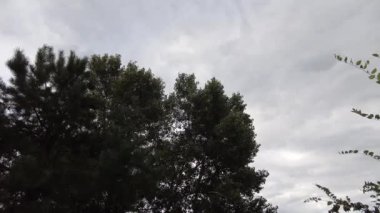 Bulutlu gökyüzü ve rüzgar. Fırtınadan önceki bulutlar. Güçlü rüzgar ve bulutlar.