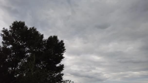 Bewölkter Himmel Und Wind Wolken Vor Dem Sturm Starker Wind — Stockvideo