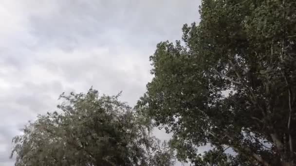 Облачное Небо Ветер Облака Перед Бурей Сильный Ветер Облака — стоковое видео