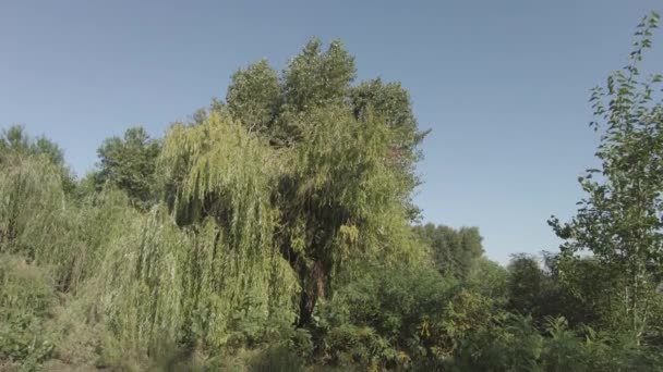 Schöne Morgenlandschaft Mit Einem Fluss Boot Auf Dem Wasser Fischer — Stockvideo