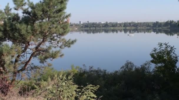 Красивий Ранковий Пейзаж Річкою Човен Воді Рибалки Затоці Прозора Річка — стокове відео