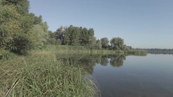 Красивий Ранковий Пейзаж Річкою Човен Воді Рибалки Затоці Прозора Річка — стокове відео
