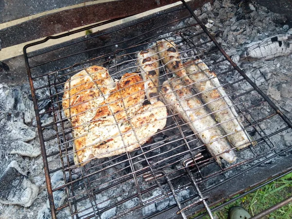 烤鱼和肉 木炭餐 — 图库照片