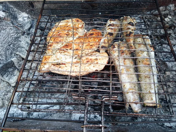 焼き魚と肉 炭火焼 — ストック写真