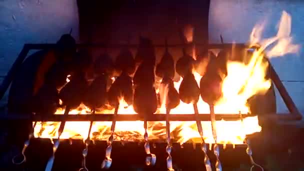 Verduras Fritas Verduras Parrilla Cocinar Alimentos Llamas — Vídeos de Stock