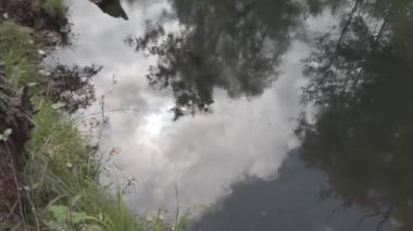 Nehrin kıyısına yürü. Su ve bulutlu bir manzara. Açık hava sporları. 4k video. nötr renk.