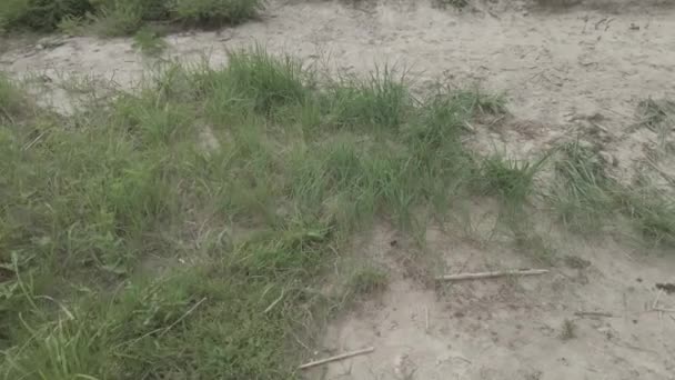 Caminar Por Río Paisaje Con Agua Nubes Deportes Aire Libre — Vídeo de stock