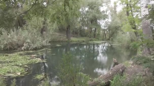 Прогулка Реке Пейзаж Водой Облаками Открытый Спорт Видео Нейтральный Цвет — стоковое видео