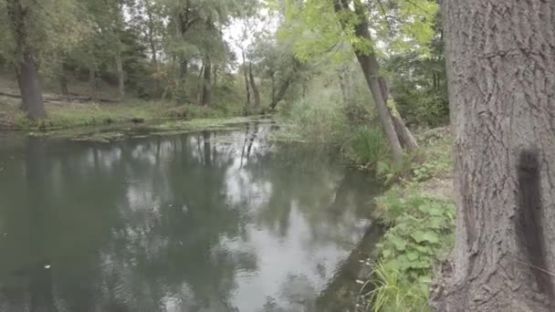 Spacer Nad Rzeką Krajobraz Wodą Chmurami Sport Świeżym Powietrzu Nagranie — Wideo stockowe