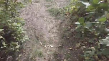 Erkek bacakları. Kot pantolon. Siyah ayakkabılar. Patika boyunca yürü. Adam serbest kalacak. Birinci şahıs görüşü. 4k video