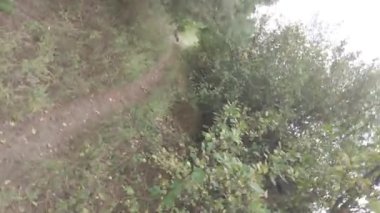 Erkek bacakları. Kot pantolon. Siyah ayakkabılar. Patika boyunca yürü. Adam serbest kalacak. Birinci şahıs görüşü. 4k video