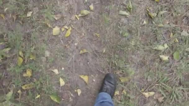 Męskie Nogi Niebieskie Dżinsy Czarne Buty Idź Ścieżką Ten Człowiek — Wideo stockowe