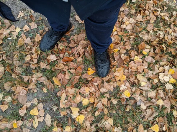 legs and autumn leaves. men\'s shoes on yellow leaves.