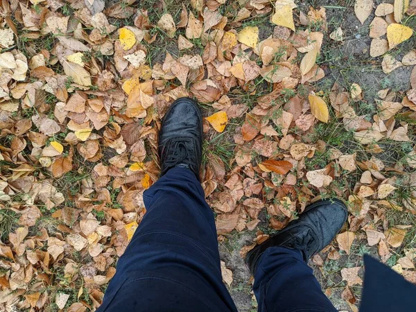 Jambes Feuilles Automne Chaussures Pour Hommes Sur Feuilles Jaunes — Photo