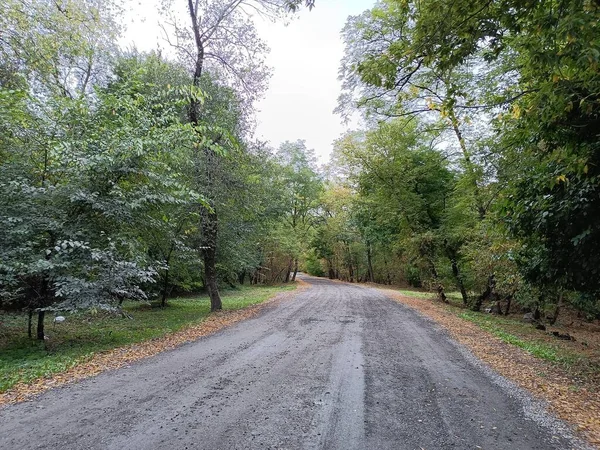 Cloudy Autumn Landscape Road Going Distance Autumn Road Yellow Leaves — Stock Photo, Image