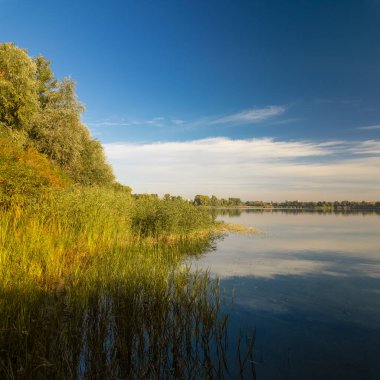 Sakin göl manzarası sakin su, mavi gökyüzü ve yansımalarla dolu. Çerçeveli sazlıklar, ağaçlar, 
