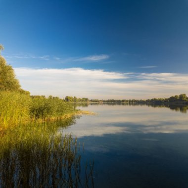 Sakin göl manzarası sakin su, mavi gökyüzü ve yansımalarla dolu. Çerçeveli sazlıklar, ağaçlar, 
