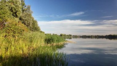 Sakin göl manzarası sakin su, mavi gökyüzü ve yansımalarla dolu. Çerçeveli sazlıklar, ağaçlar, 