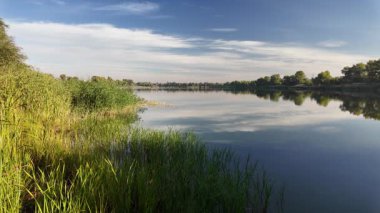 Sakin göl manzarası sakin su, mavi gökyüzü ve yansımalarla dolu. Çerçeveli sazlıklar, ağaçlar, 