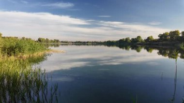 Sakin göl manzarası sakin su, mavi gökyüzü ve yansımalarla dolu. Çerçeveli sazlıklar, ağaçlar, 