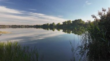 Sakin göl manzarası sakin su, mavi gökyüzü ve yansımalarla dolu. Çerçeveli sazlıklar, ağaçlar, 