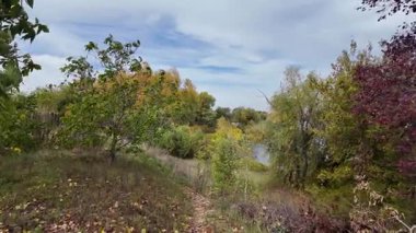 Parlak yapraklı sonbahar ormanı patikası, uzun otlar ve parçalı bulutlu kayak ve huzurlu mevsimsel doğa manzarasının altındaki toprak yol. 4K 60fps. Uzun görüntüler. Dikey video. 