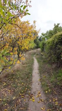 Su ve kasvetli gökyüzü manzarası. Mavi gökyüzünde manzaralı beyaz bulutlarla mükemmel derin mavi denizin üzerinde destansı bir uçuş. Uzakta görülen sonsuz ufuk. Suyun aktığı sakin nehir sahnesi.