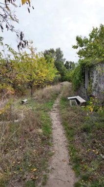 Su ve kasvetli gökyüzü manzarası. Mavi gökyüzünde manzaralı beyaz bulutlarla mükemmel derin mavi denizin üzerinde destansı bir uçuş. Uzakta görülen sonsuz ufuk. Suyun aktığı sakin nehir sahnesi.