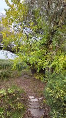 Su ve kasvetli gökyüzü manzarası. Mavi gökyüzünde manzaralı beyaz bulutlarla mükemmel derin mavi denizin üzerinde destansı bir uçuş. Uzakta görülen sonsuz ufuk. Suyun aktığı sakin nehir sahnesi.