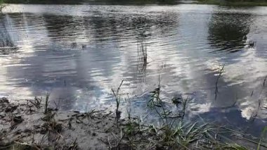 Su ve kasvetli gökyüzü manzarası. Mavi gökyüzünde manzaralı beyaz bulutlarla mükemmel derin mavi denizin üzerinde destansı bir uçuş. Uzakta görülen sonsuz ufuk. Suyun aktığı sakin nehir sahnesi.