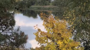 Su ve kasvetli gökyüzü manzarası. Mavi gökyüzünde manzaralı beyaz bulutlarla mükemmel derin mavi denizin üzerinde destansı bir uçuş. Uzakta görülen sonsuz ufuk. Suyun aktığı sakin nehir sahnesi.