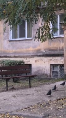 Çok katlı apartmanı, balkonları, ağaçları ve bankı olan şehir avlusu. Beton ve yeşillik karışımı, tipik bir Doğu Avrupa mahallesinde günlük yaşamı yakalıyor..