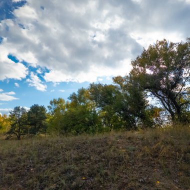Güneşli sonbahar manzarası kuru çimenli çayır, karışık çam ormanı ve yaprak döken ağaçlar ve mavi gökyüzünün altında bulutlu dolambaçlı bir yol. Sıcak ışık ve gölgeli huzurlu mevsimlik doğa sahnesi.