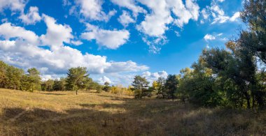 Güneşli sonbahar manzarası kuru çimenli çayır, karışık çam ormanı ve yaprak döken ağaçlar ve mavi gökyüzünün altında bulutlu dolambaçlı bir yol. Sıcak ışık ve gölgeli huzurlu mevsimlik doğa sahnesi.