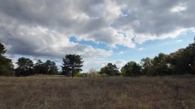 Güneşli sonbahar manzarası kuru çimenli çayır, karışık çam ormanı ve yaprak döken ağaçlar ve mavi gökyüzünün altında bulutlu dolambaçlı bir yol. Sıcak ışık ve gölgeli huzurlu mevsimlik doğa sahnesi.