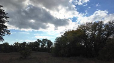 Güneşli sonbahar manzarası kuru çimenli çayır, karışık çam ormanı ve yaprak döken ağaçlar ve mavi gökyüzünün altında bulutlu dolambaçlı bir yol. Sıcak ışık ve gölgeli huzurlu mevsimlik doğa sahnesi.