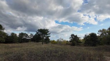 Güneşli sonbahar manzarası kuru çimenli çayır, karışık çam ormanı ve yaprak döken ağaçlar ve mavi gökyüzünün altında bulutlu dolambaçlı bir yol. Sıcak ışık ve gölgeli huzurlu mevsimlik doğa sahnesi.